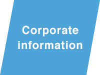 Corporate information